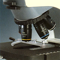 What is a nose piece on a microscope?